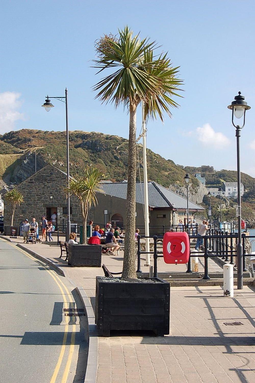 Beach Vista Apartment Three In Barmouth Luaran gambar